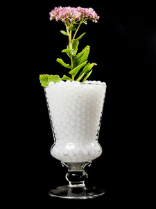 Kulki wodne, żelowe La Manuli - białe, perłowe